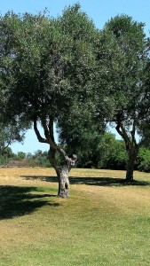 Golfer Tree